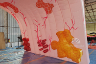 Custom Giant Inflatable Lungs Medical Event Theme โฆษณาอวัยวะของมนุษย์หลอดลำไส้ใหญ่ขนาดใหญ่ Model