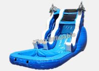 16 ft Dolphin Rush Wave Commercial Water Slides 7 * 4 * 5m