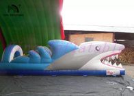 สไลด์น้ำทำให้พองของปลาฉลาม PVC, สไลด์มินิซิตี้ที่น่าตื่นเต้นที่กำหนดเอง