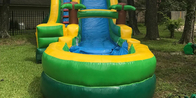 Tarpaulin Inflatable Pvc ต้นปาล์ม Screamer Water Slide