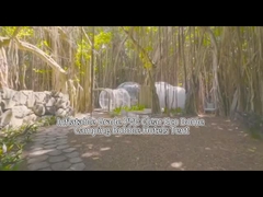 เต็นท์โรงแรม Bubble House ที่เป่าได้