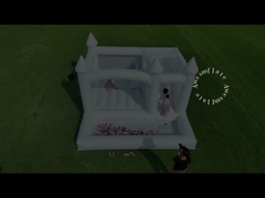 กษัตริย์23