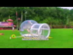 กษัตริย์12