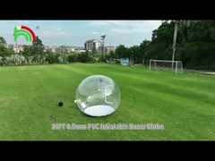 กษัตริย์17