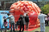 เต็นท์แบบจำลองสมองพอง นิทรรศการการประชุมทางการแพทย์ที่ทำให้พอง - Mega Brain