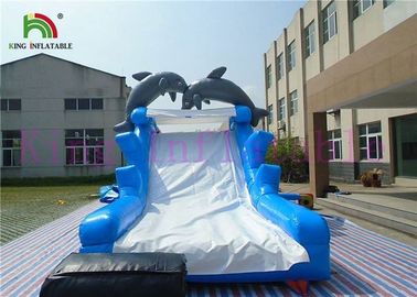 บลูไวท์โลมาพีวีซีพองแห้งสไลด์พร้อมบอร์ดสไลด์และ CE Blower