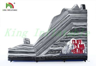 Gray Double Lanes Inflatable Dry Slide หินปีนหน้าผาไม่เกินหน้าผาเพื่อความสนุก