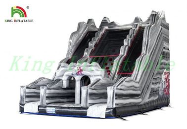 Gray Double Lanes Inflatable Dry Slide หินปีนหน้าผาไม่เกินหน้าผาเพื่อความสนุก