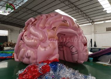 ขนาดที่กำหนดเองเต็นท์เหตุการณ์พองจำลองแบบจำลองสมองสำหรับการแสดงทางการแพทย์