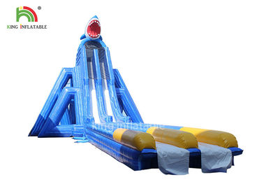 Anti-Tear Beach ยักษ์น้ำทำให้พองสไลด์ Blue Lanes คู่สำหรับผู้ใหญ่