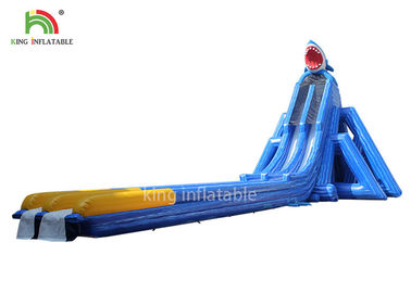 Anti-Tear Beach ยักษ์น้ำทำให้พองสไลด์ Blue Lanes คู่สำหรับผู้ใหญ่