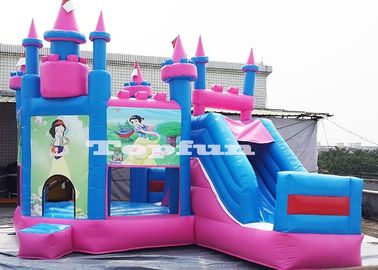 Digital Print Inflatable Jumping Castle / กระโดดและสไลด์บ้านตุ๊กตา